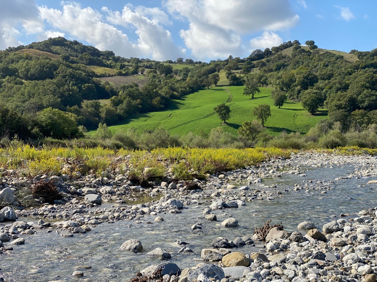 Memory Places: Tracing Our Past in Stones and&nbsp;Forests