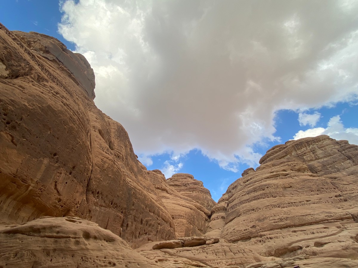 AWAS 2024 – Day 3 Reflections from the Third and Final&nbsp;Day