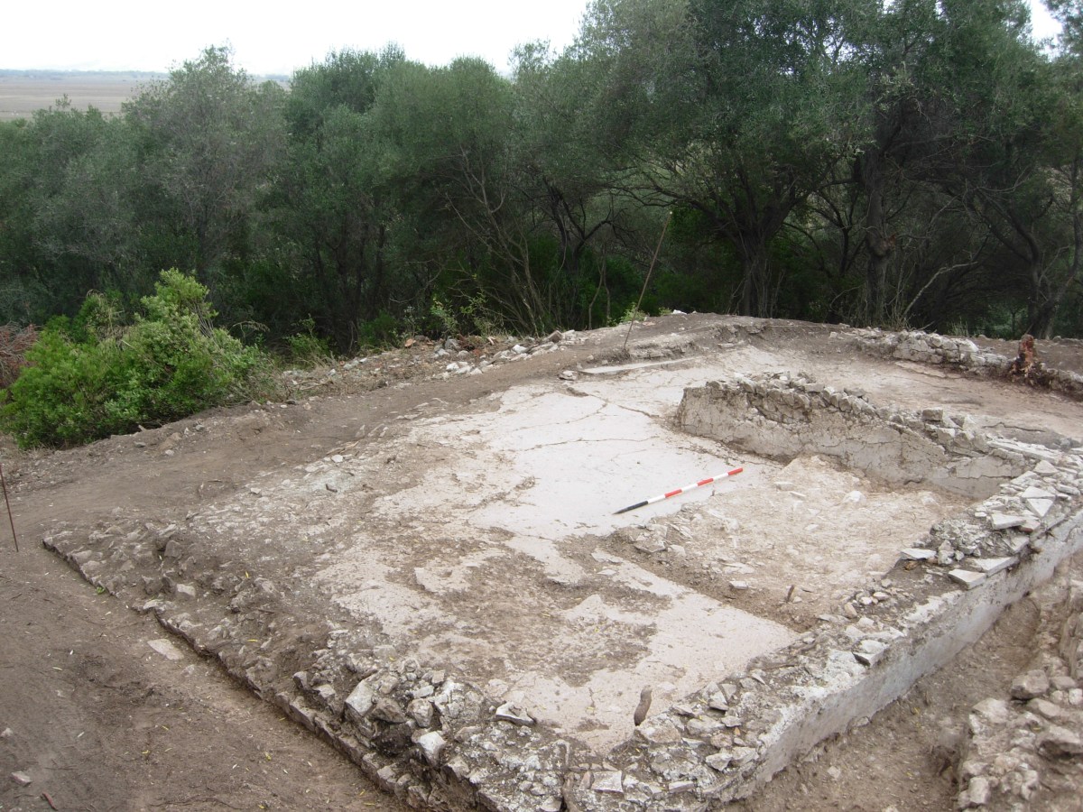Rediscovering the Sanctuary of Diana Umbronensis at&nbsp;Alberese